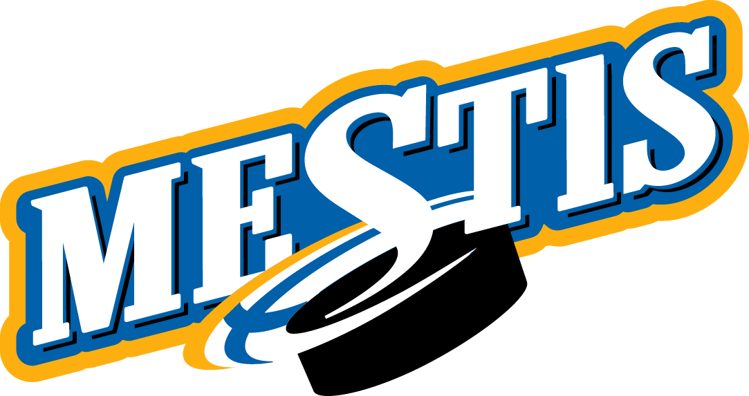 Mestis 2000-2015 Primary Logo iron on heat transfer
